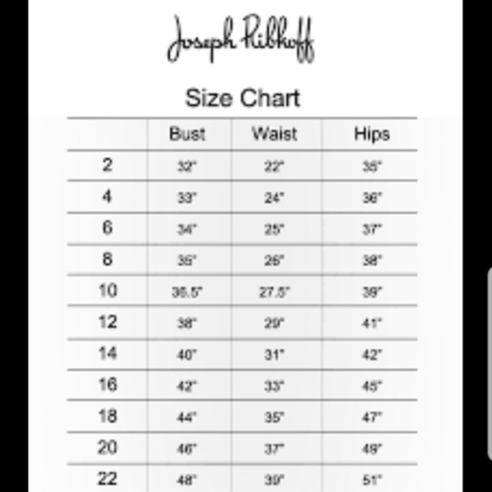Joseph Ribkoff Dress - Picture 11 of 11